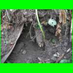 CAM_0333.JPG