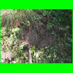 CAM_0342.JPG