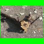 CAM_0353.JPG