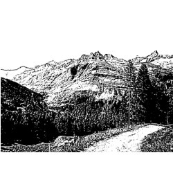 d1567081253357.jpg