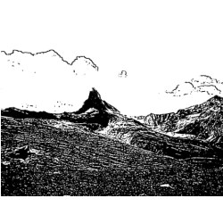 i1567080771947.jpg
