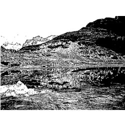 m1567099729401.jpg